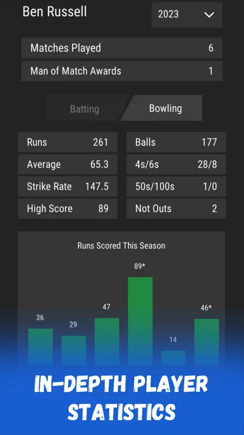 Wicket Cricket Manager screenshot